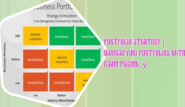 Portfolio investment strategy